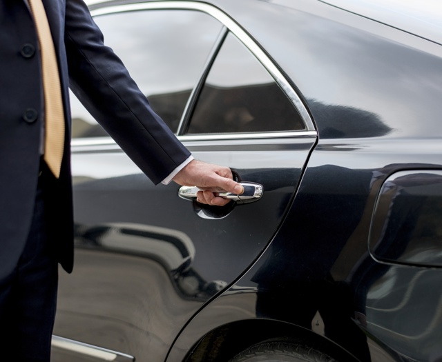 Imagepalmeratransfer