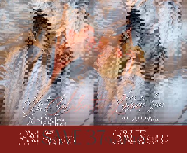 Palmera Valentines Offer 2026